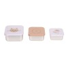 Assortiment snackdoosjes RVS - Snackbox set tiny team cat (Wenslijst ...)